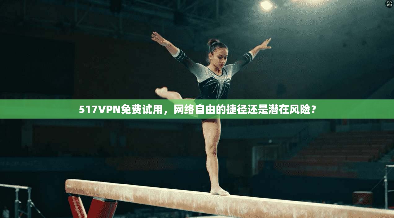 517VPN免费试用，网络自由的捷径还是潜在风险？