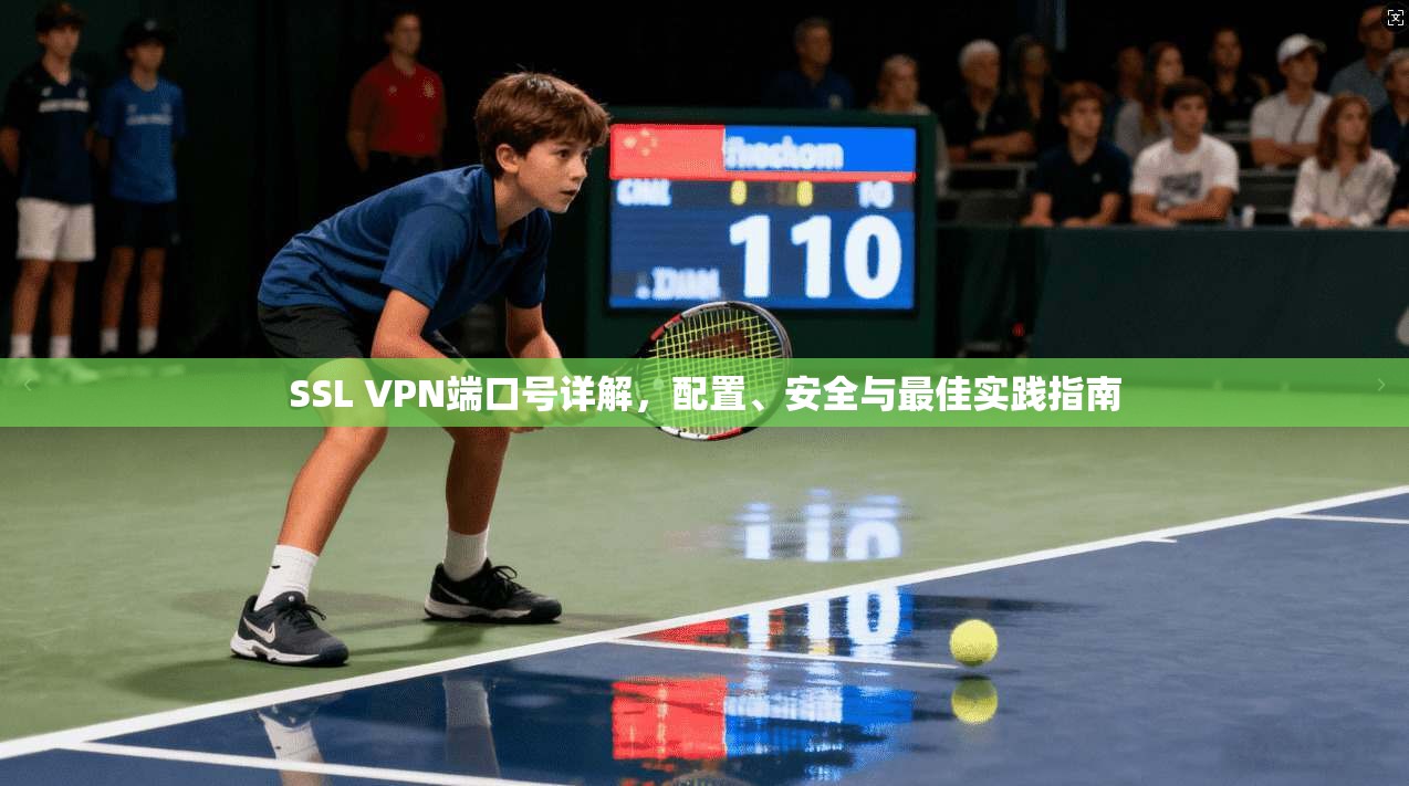 SSL VPN端口号详解，配置、安全与最佳实践指南