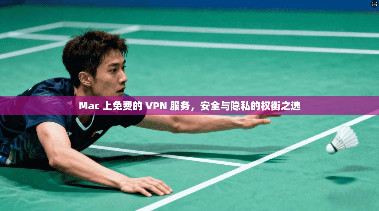 Mac 上免费的 VPN 服务，安全与隐私的权衡之选