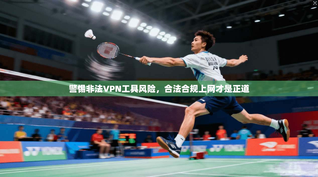 警惕非法VPN工具风险，合法合规上网才是正道