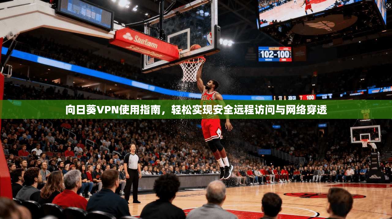 向日葵VPN使用指南，轻松实现安全远程访问与网络穿透