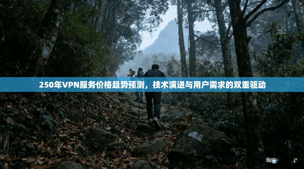 250年VPN服务价格趋势预测，技术演进与用户需求的双重驱动