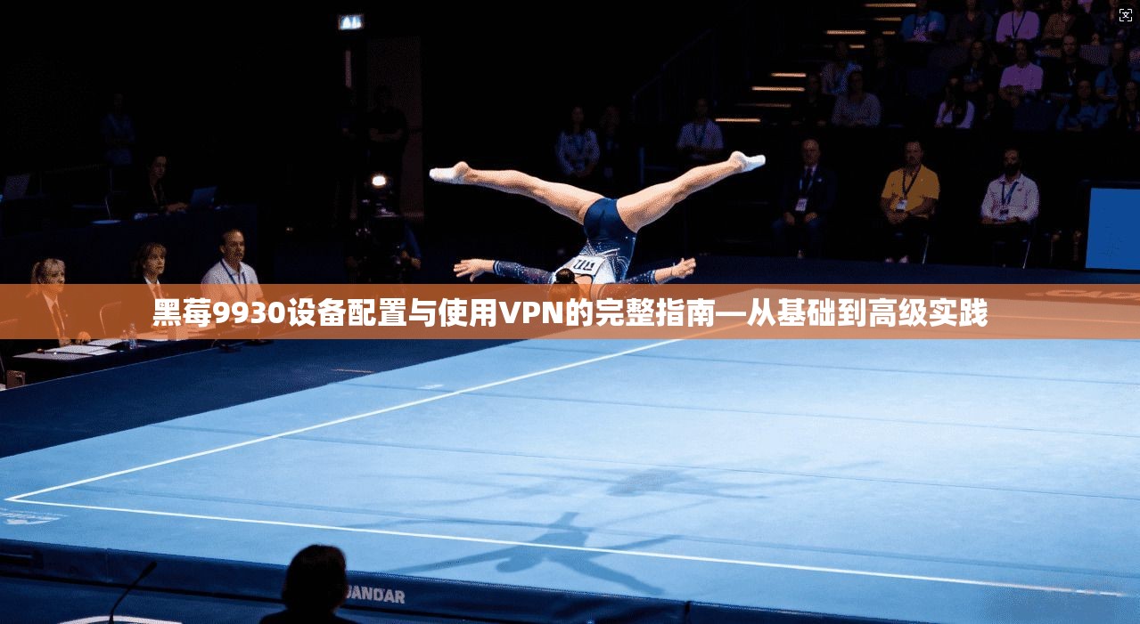 黑莓9930设备配置与使用VPN的完整指南—从基础到高级实践