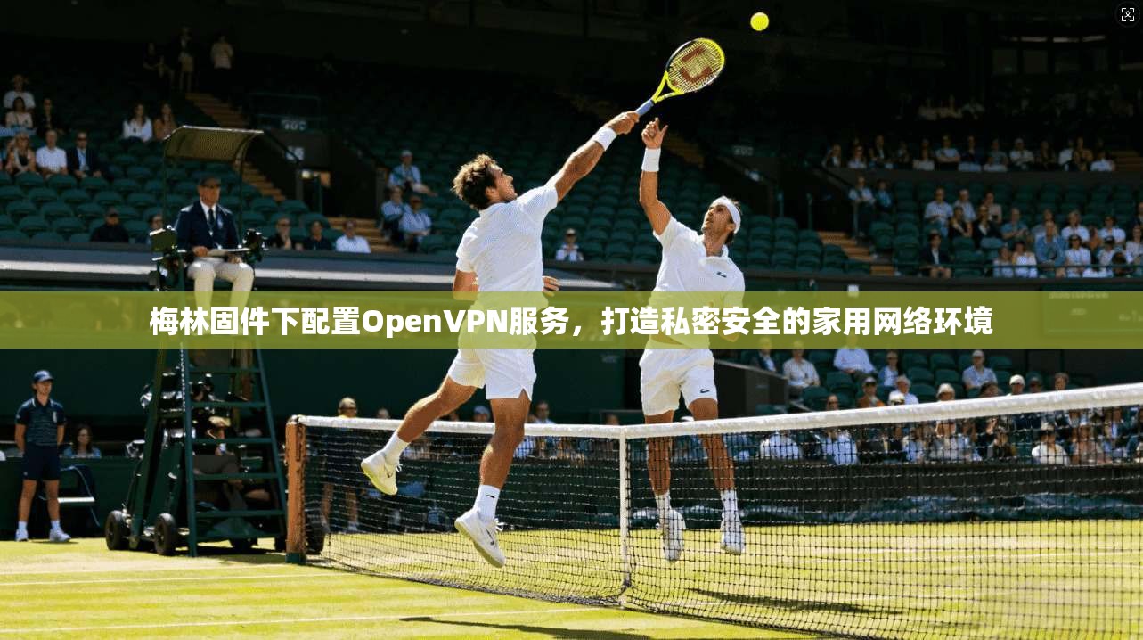 梅林固件下配置OpenVPN服务，打造私密安全的家用网络环境
