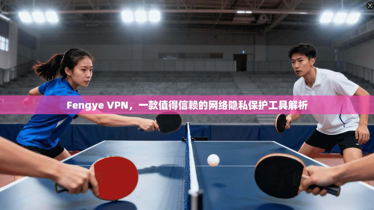 Fengye VPN，一款值得信赖的网络隐私保护工具解析