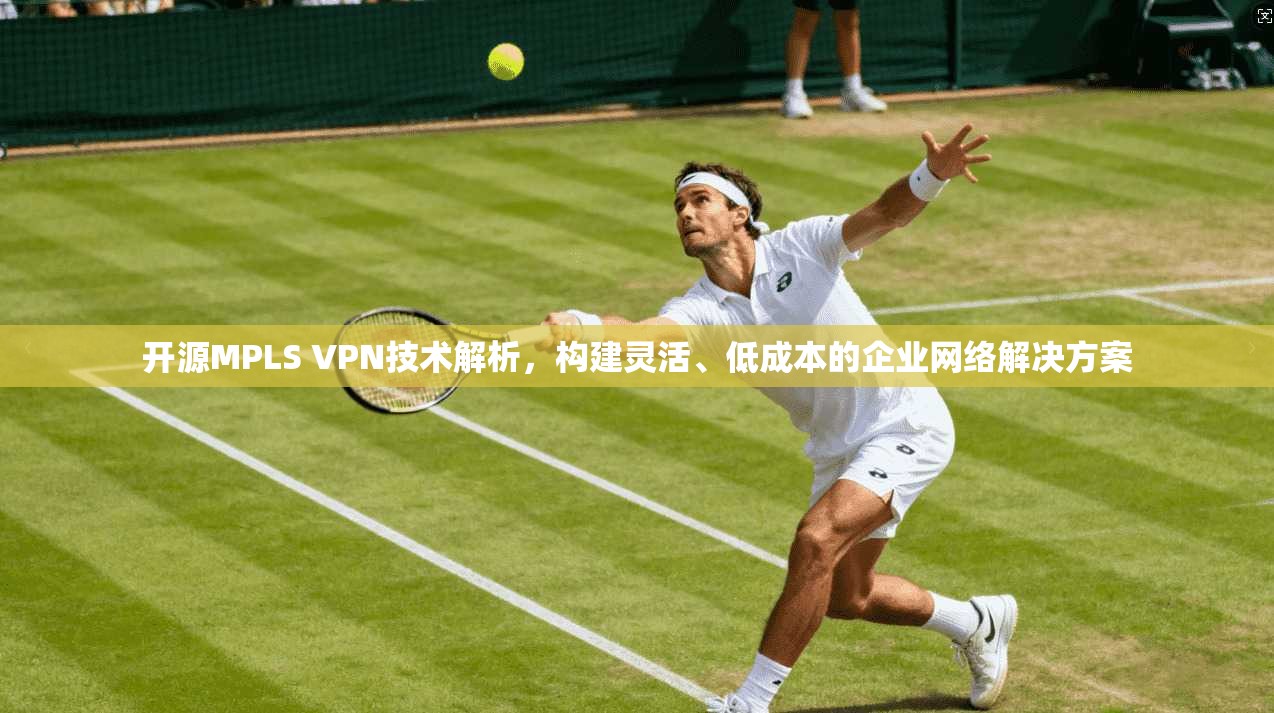 开源MPLS VPN技术解析，构建灵活、低成本的企业网络解决方案