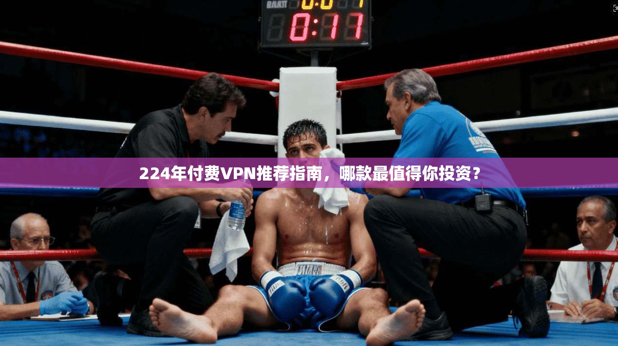 224年付费VPN推荐指南，哪款最值得你投资？