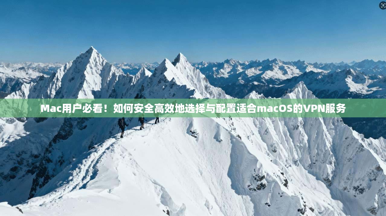 Mac用户必看！如何安全高效地选择与配置适合macOS的VPN服务