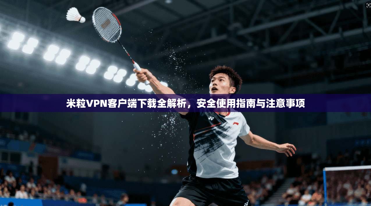 米粒VPN客户端下载全解析，安全使用指南与注意事项