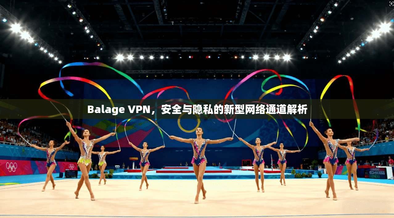 Balage VPN，安全与隐私的新型网络通道解析