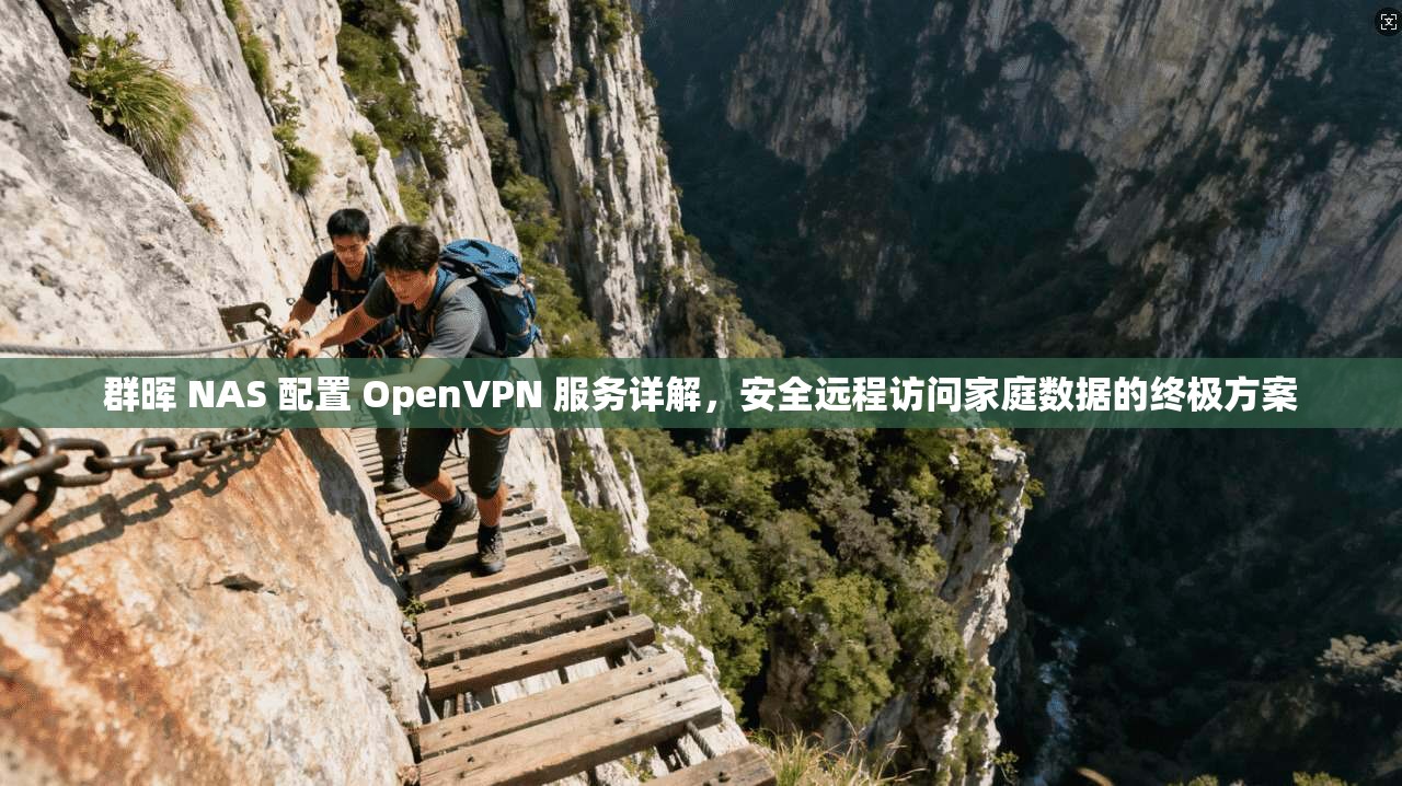 群晖 NAS 配置 OpenVPN 服务详解，安全远程访问家庭数据的终极方案