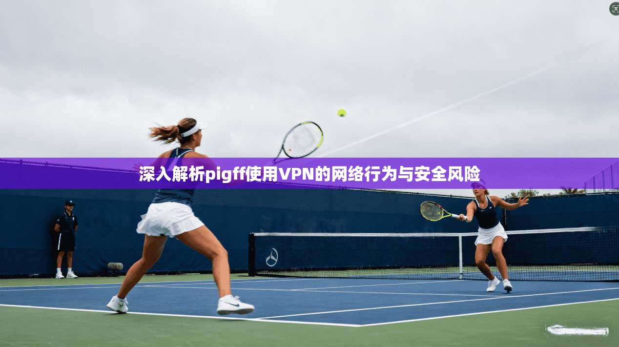 深入解析pigff使用VPN的网络行为与安全风险