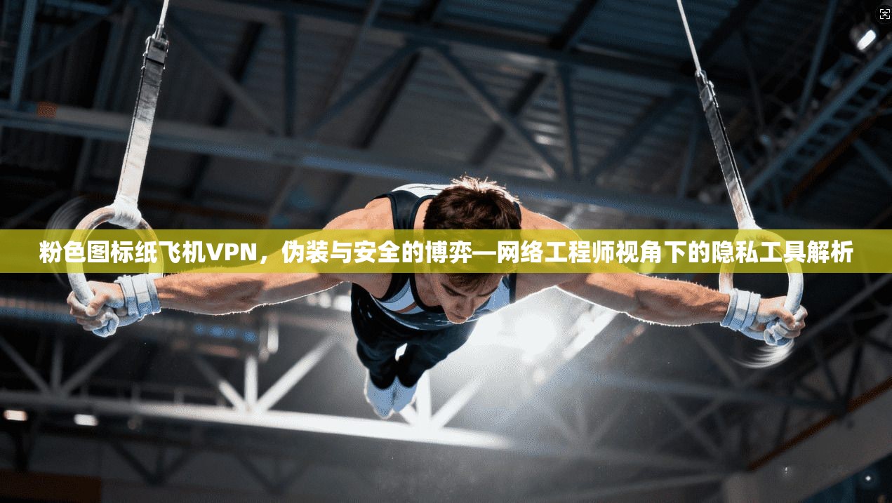 粉色图标纸飞机VPN，伪装与安全的博弈—网络工程师视角下的隐私工具解析