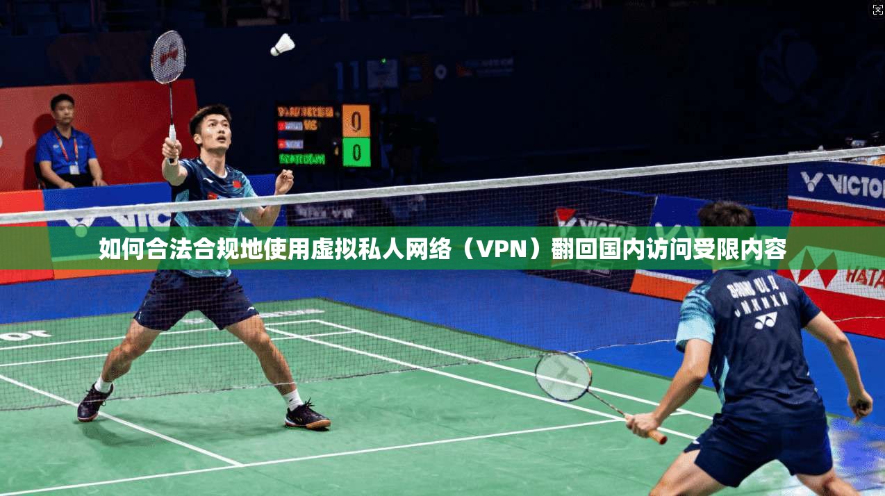 如何合法合规地使用虚拟私人网络（VPN）翻回国内访问受限内容