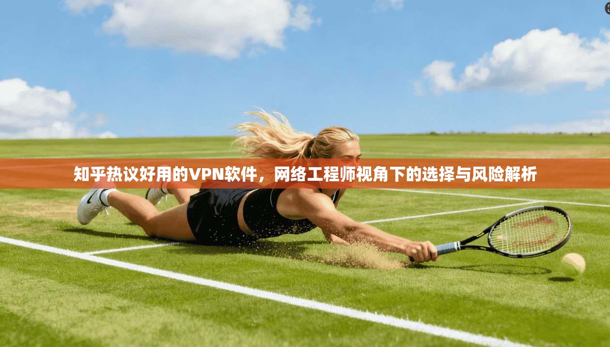 知乎热议好用的VPN软件，网络工程师视角下的选择与风险解析