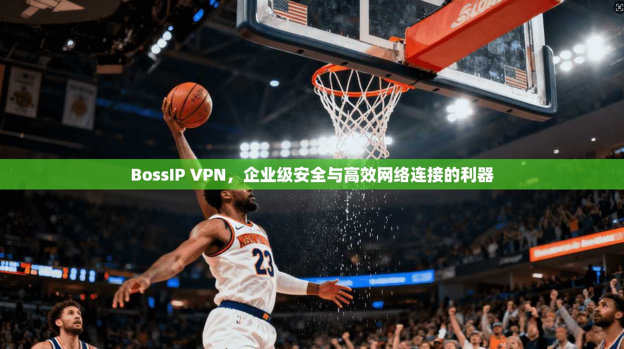 BossIP VPN，企业级安全与高效网络连接的利器