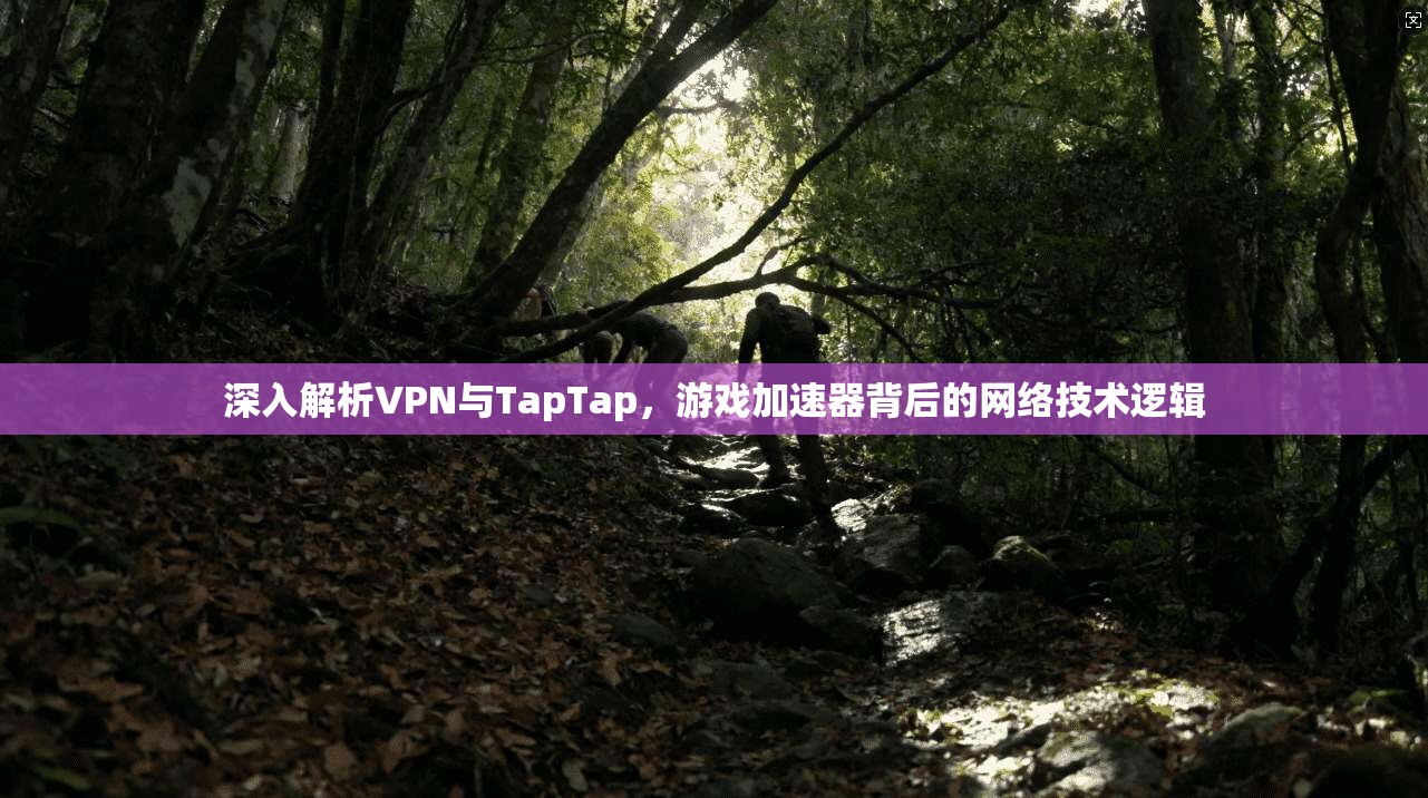 深入解析VPN与TapTap，游戏加速器背后的网络技术逻辑