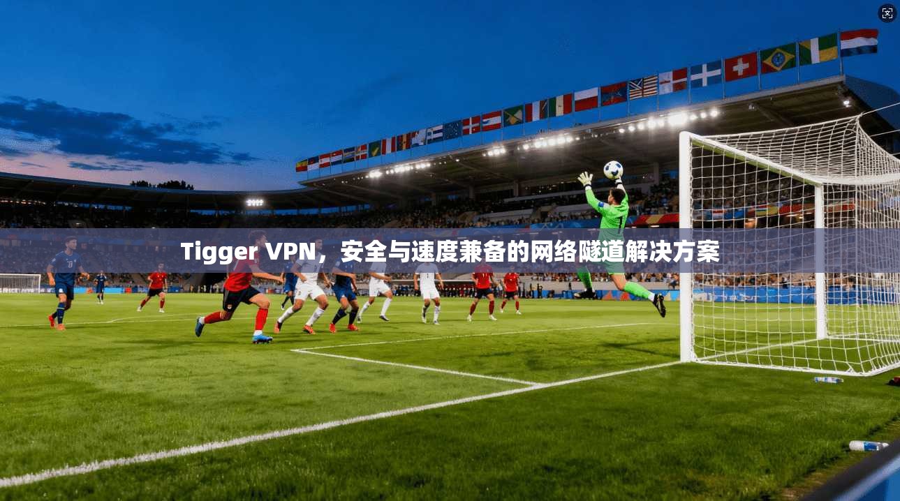 Tigger VPN，安全与速度兼备的网络隧道解决方案