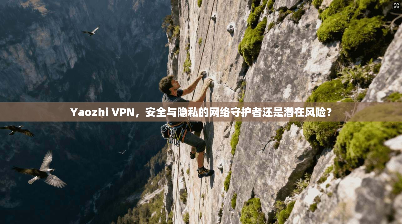 Yaozhi VPN，安全与隐私的网络守护者还是潜在风险？