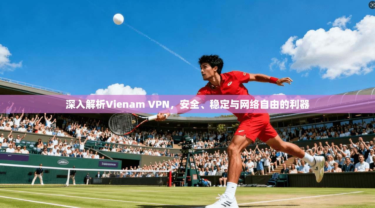 深入解析Vienam VPN，安全、稳定与网络自由的利器