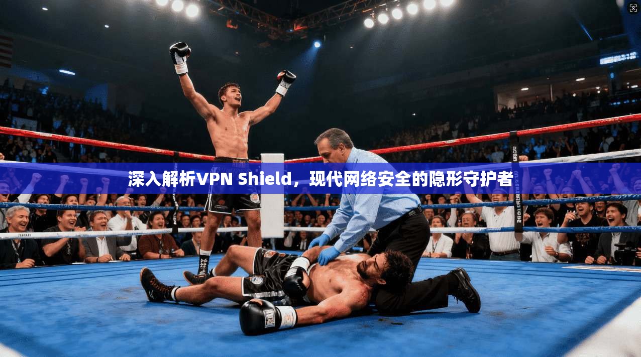 深入解析VPN Shield，现代网络安全的隐形守护者