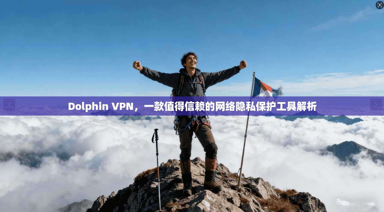 Dolphin VPN，一款值得信赖的网络隐私保护工具解析