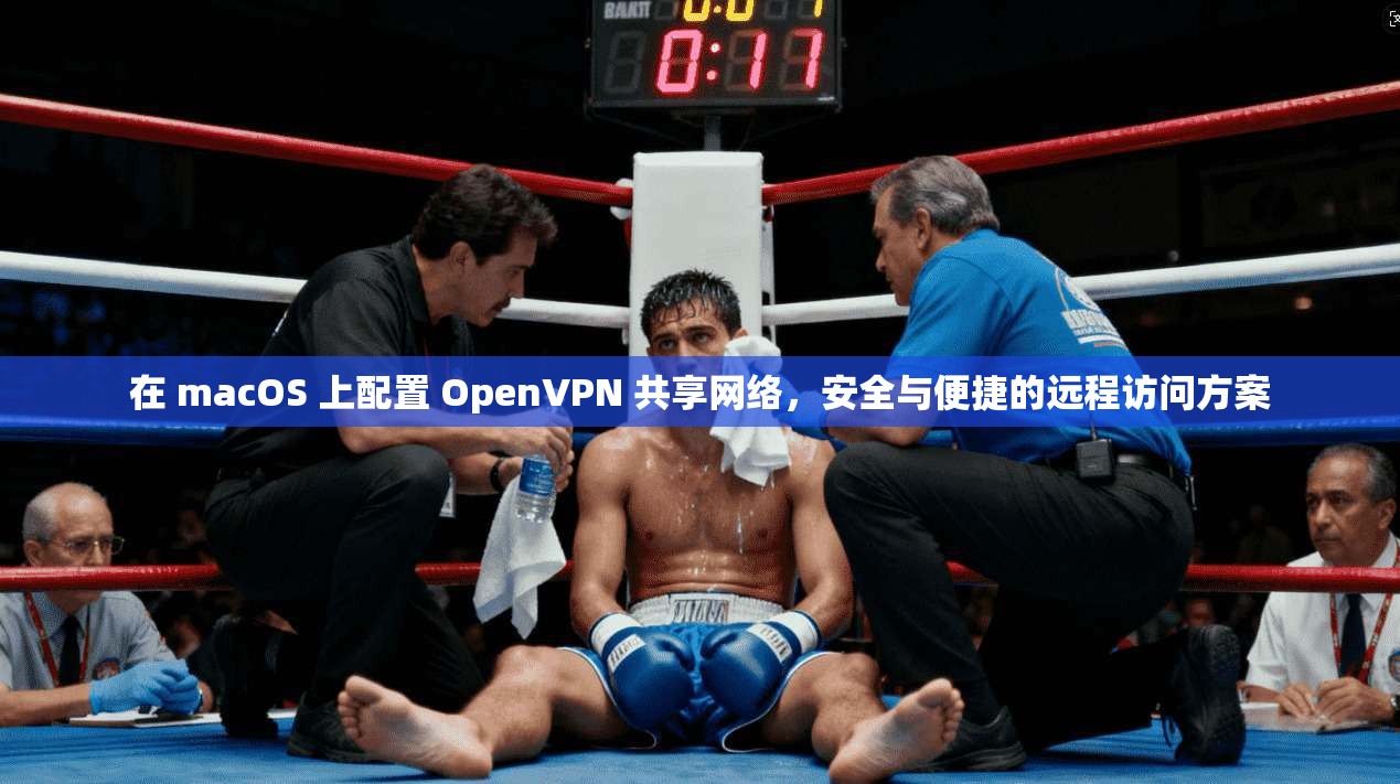 在 macOS 上配置 OpenVPN 共享网络，安全与便捷的远程访问方案