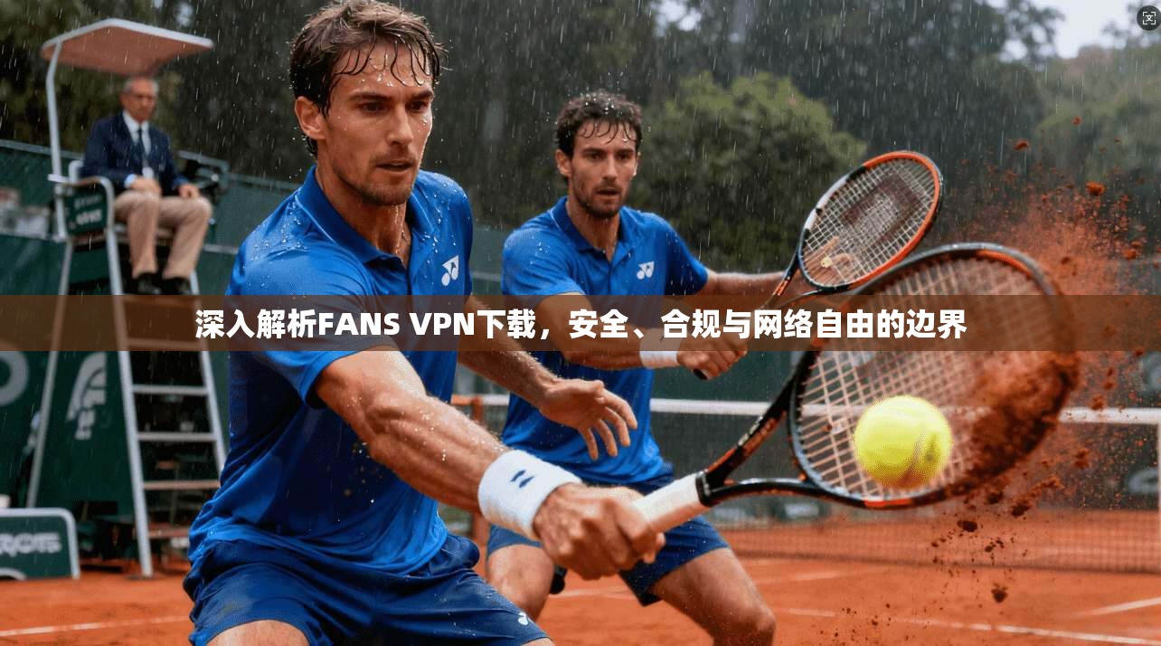 深入解析FANS VPN下载，安全、合规与网络自由的边界