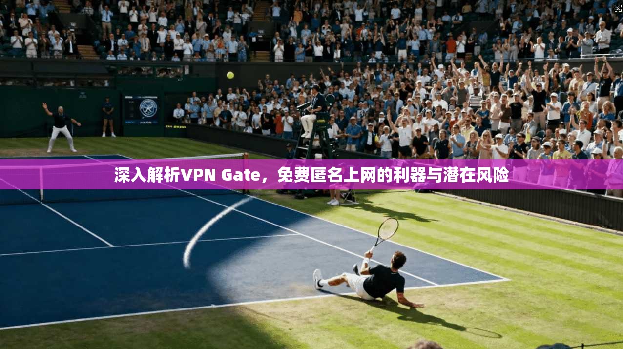 深入解析VPN Gate，免费匿名上网的利器与潜在风险