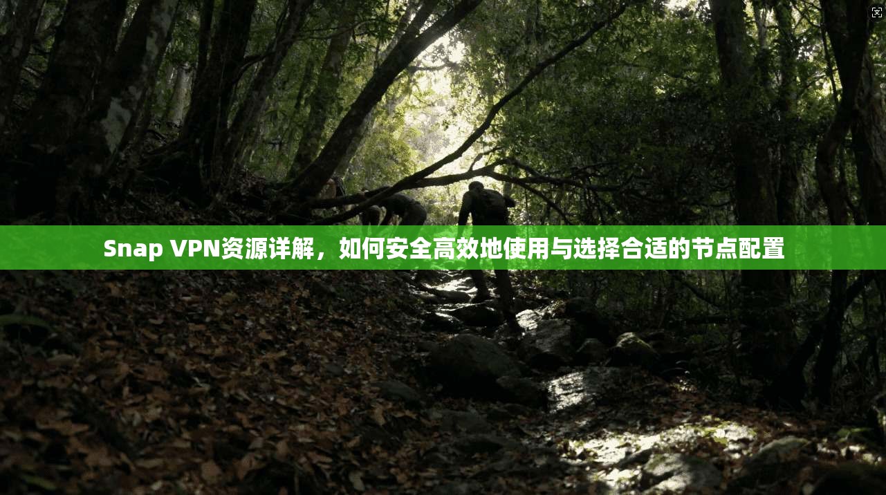 Snap VPN资源详解，如何安全高效地使用与选择合适的节点配置