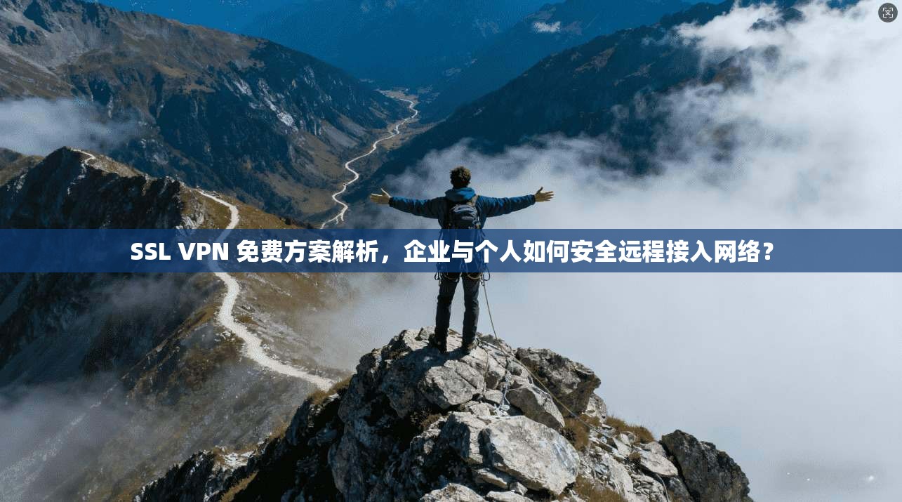 SSL VPN 免费方案解析，企业与个人如何安全远程接入网络？