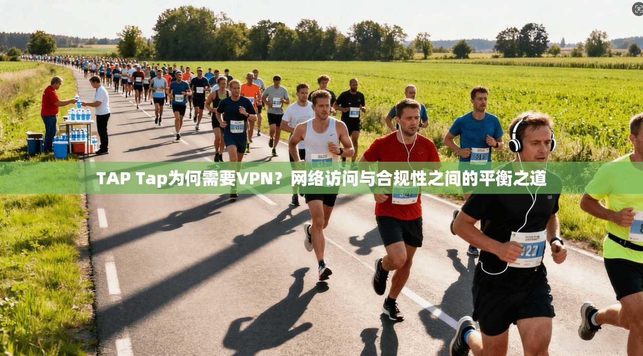 TAP Tap为何需要VPN？网络访问与合规性之间的平衡之道