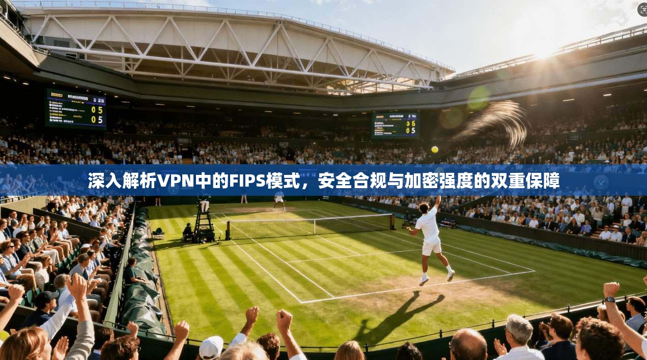 深入解析VPN中的FIPS模式，安全合规与加密强度的双重保障