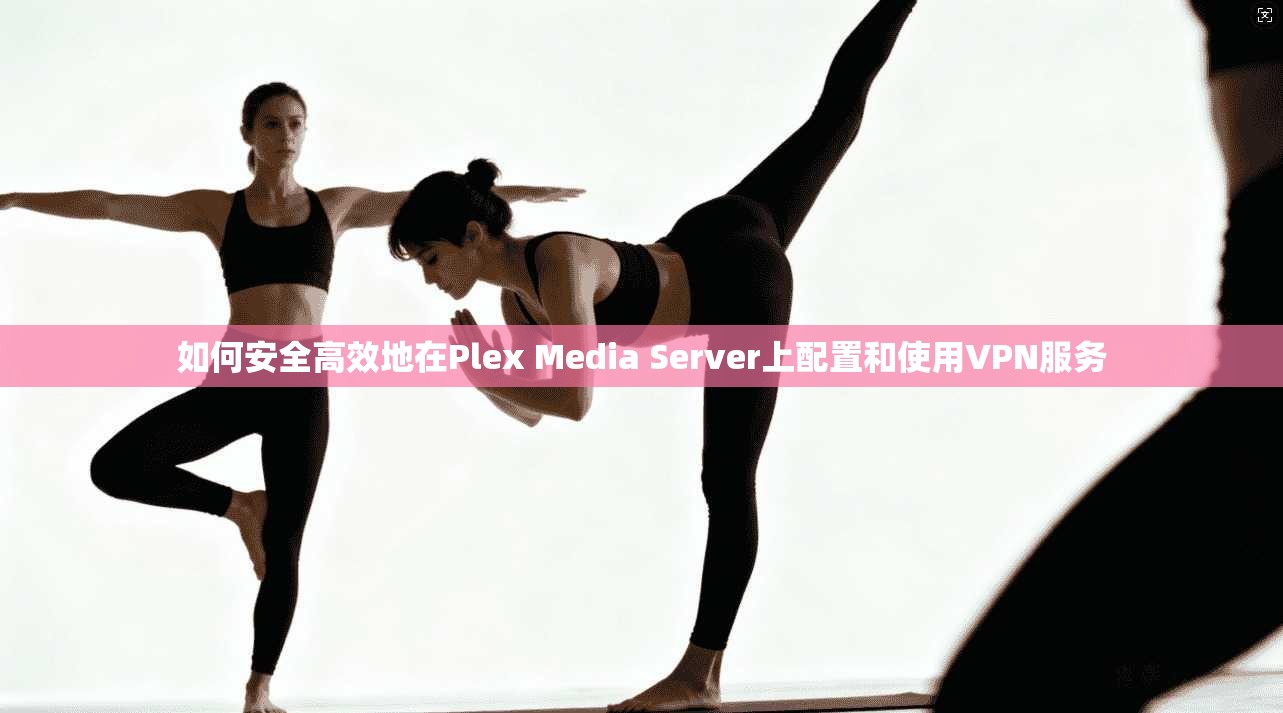 如何安全高效地在Plex Media Server上配置和使用VPN服务