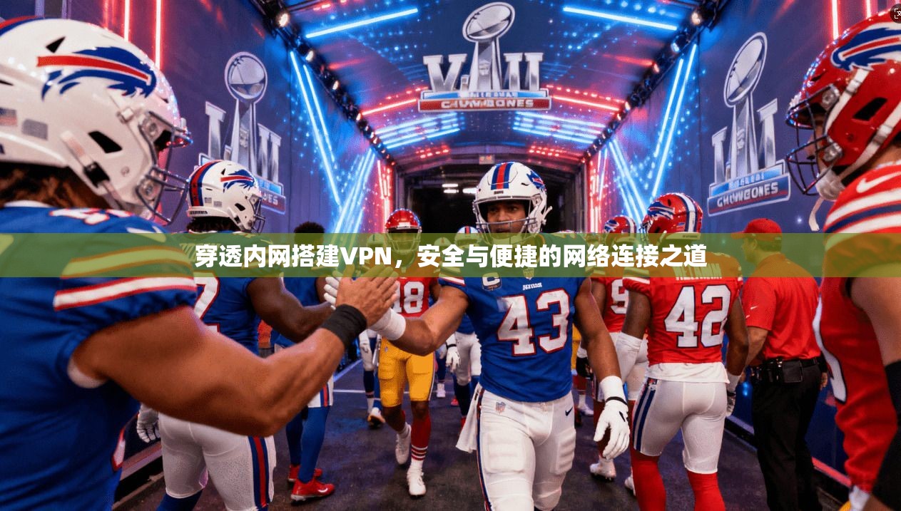 穿透内网搭建VPN，安全与便捷的网络连接之道