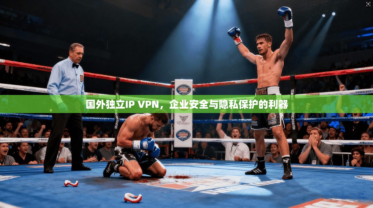 国外独立IP VPN，企业安全与隐私保护的利器