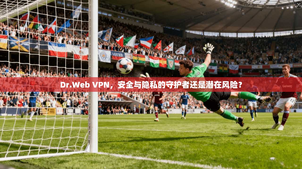 Dr.Web VPN，安全与隐私的守护者还是潜在风险？