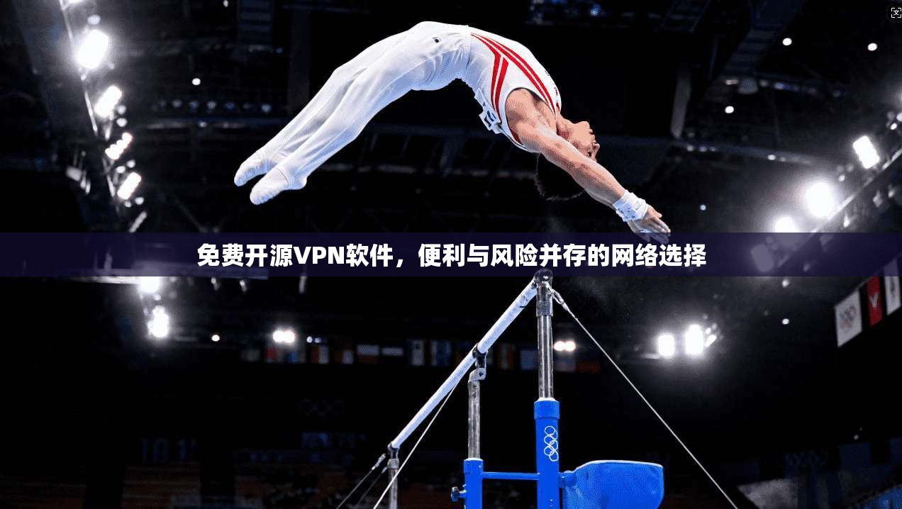 免费开源VPN软件，便利与风险并存的网络选择