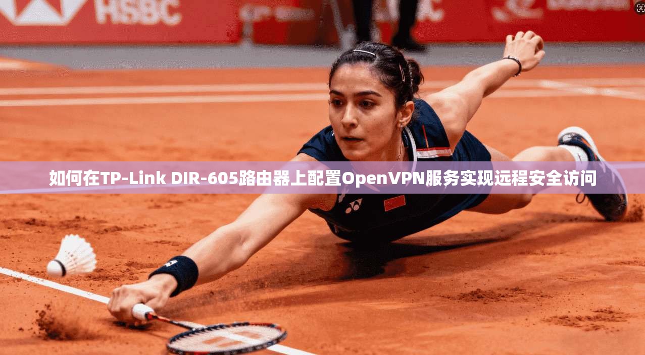如何在TP-Link DIR-605路由器上配置OpenVPN服务实现远程安全访问