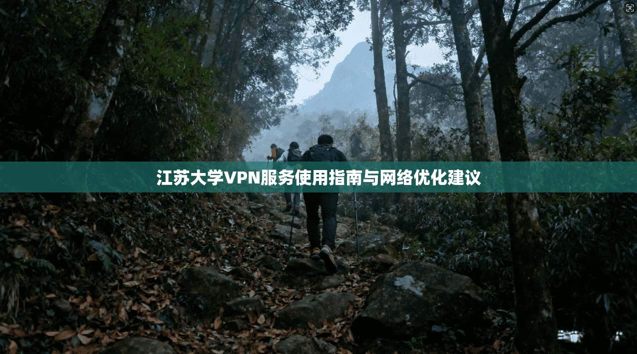 江苏大学VPN服务使用指南与网络优化建议