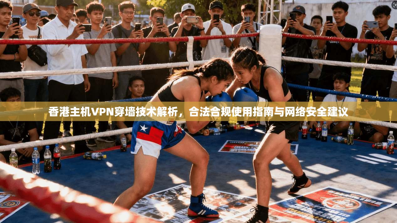香港主机VPN穿墙技术解析，合法合规使用指南与网络安全建议