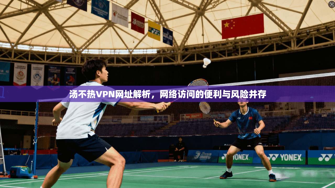汤不热VPN网址解析,网络访问的便利与风险并存