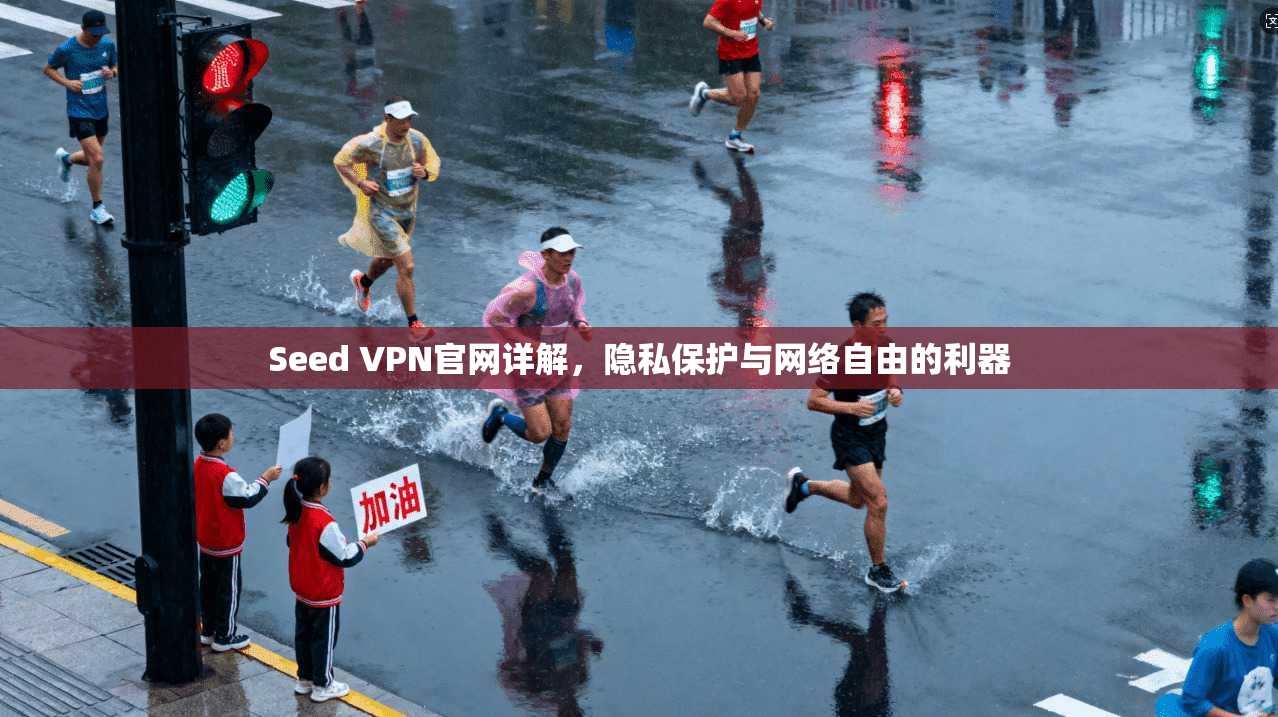 Seed VPN官网详解，隐私保护与网络自由的利器