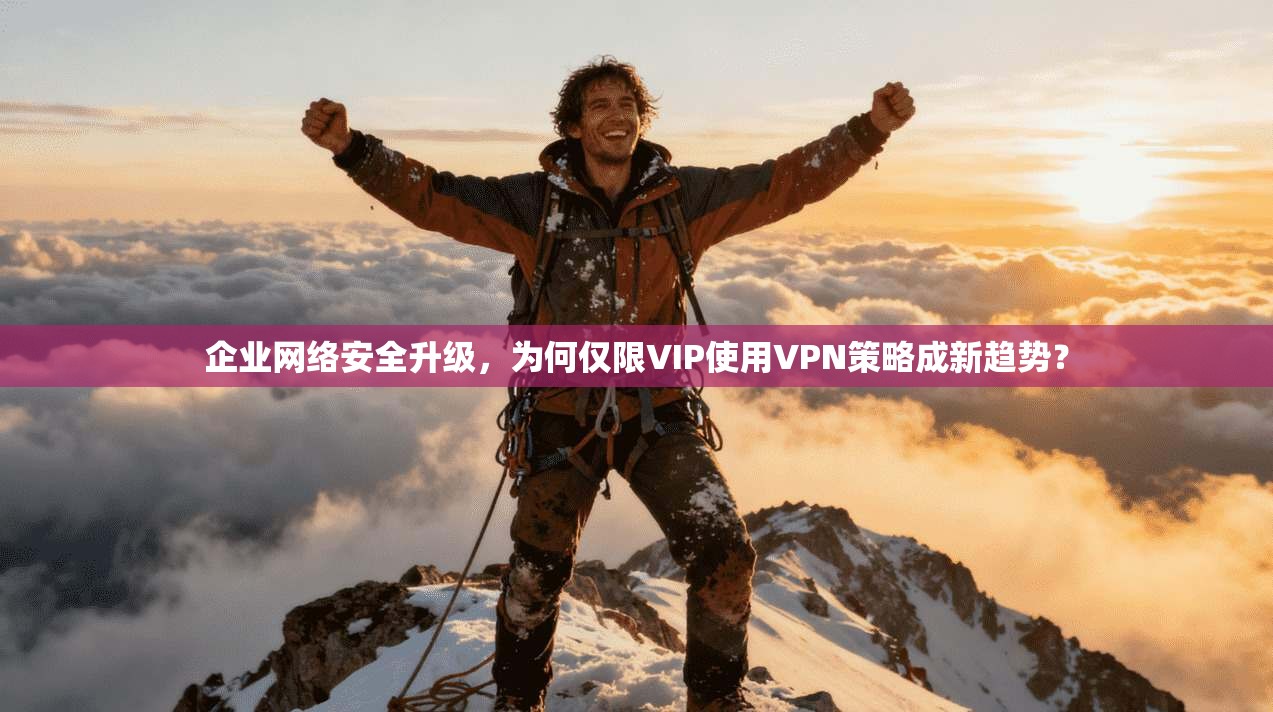 企业网络安全升级，为何仅限VIP使用VPN策略成新趋势？