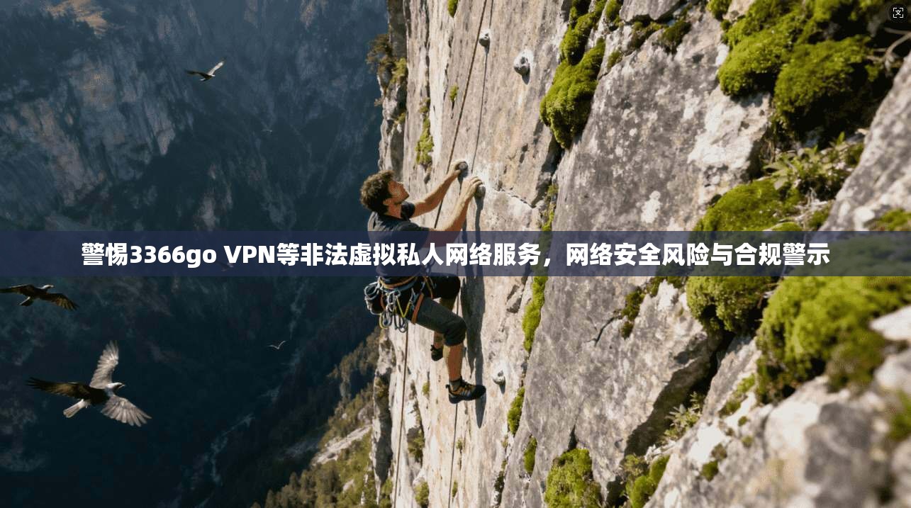 警惕3366go VPN等非法虚拟私人网络服务，网络安全风险与合规警示