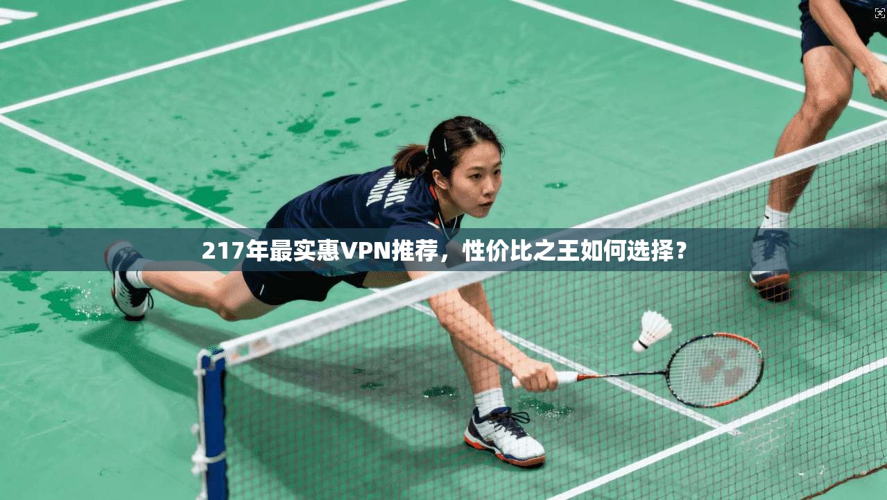 217年最实惠VPN推荐，性价比之王如何选择？