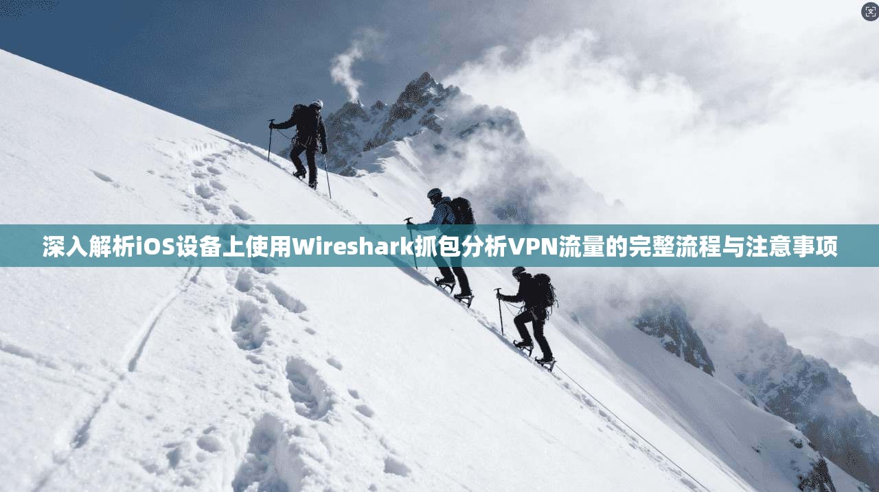 深入解析iOS设备上使用Wireshark抓包分析VPN流量的完整流程与注意事项