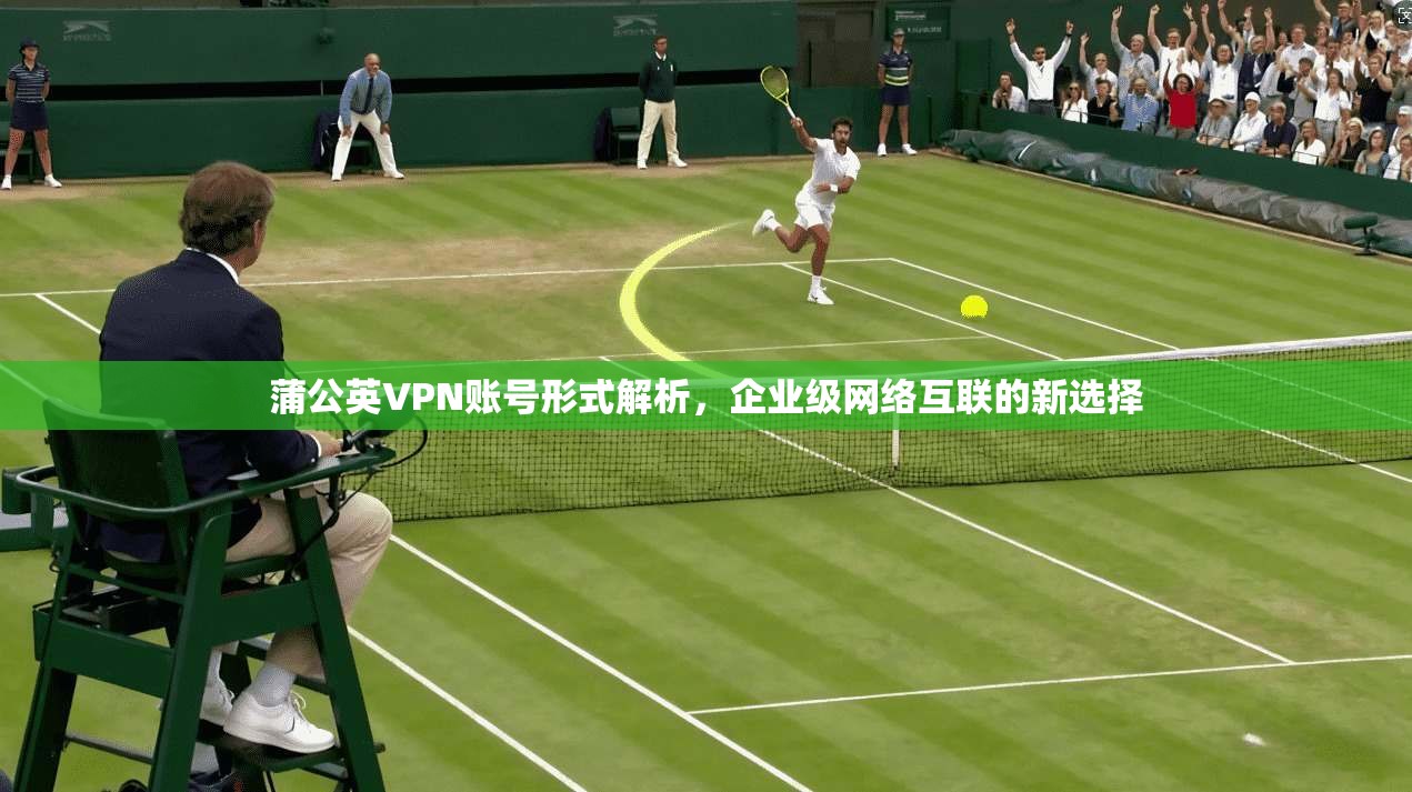 蒲公英VPN账号形式解析，企业级网络互联的新选择