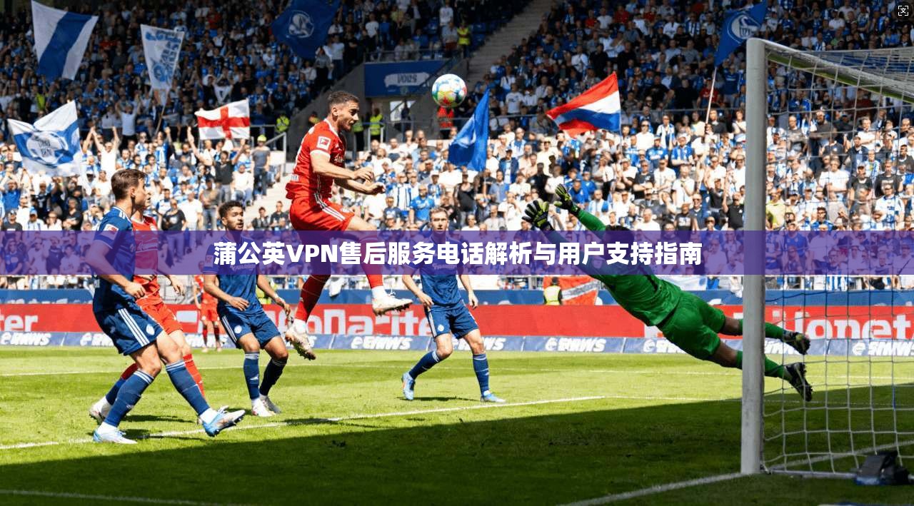 蒲公英VPN售后服务电话解析与用户支持指南