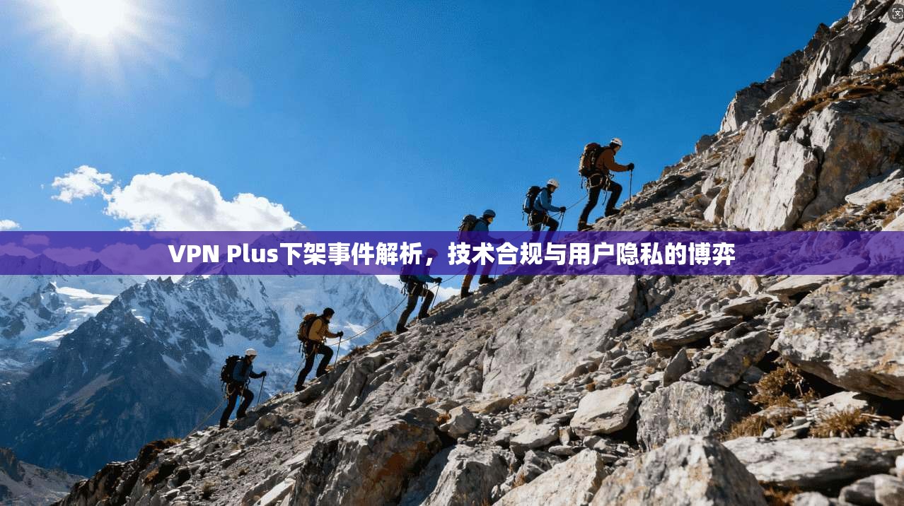 VPN Plus下架事件解析，技术合规与用户隐私的博弈